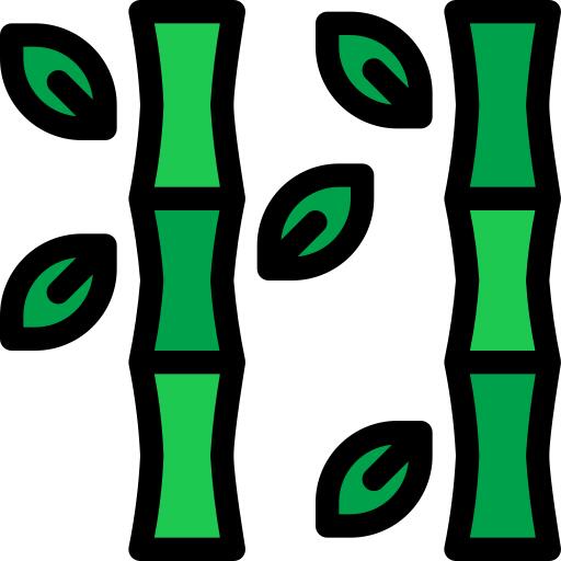 Bamboo
