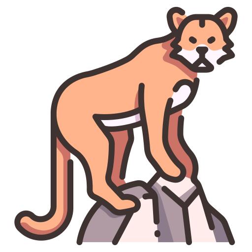 美洲狮