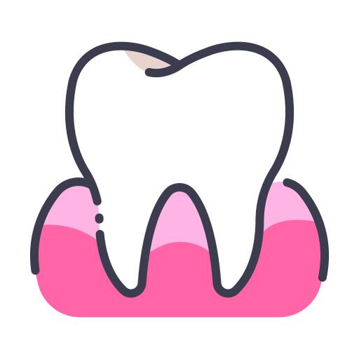 齿