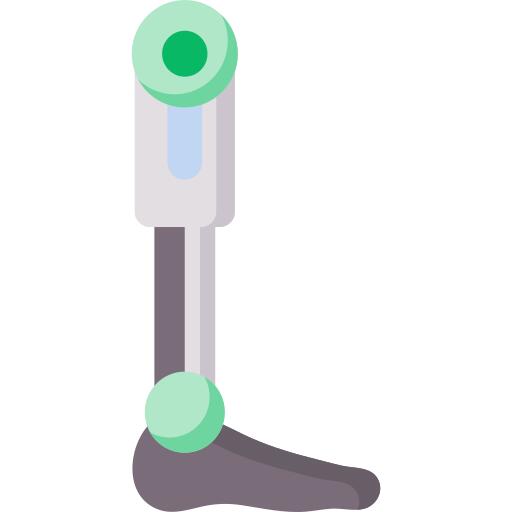 Robotic leg