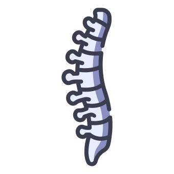 Spine