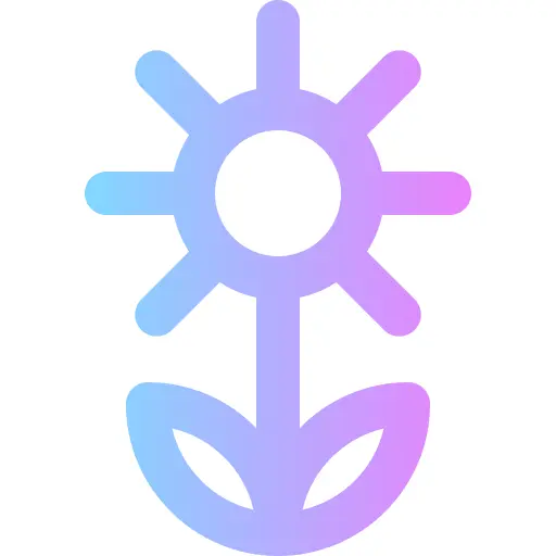 向日葵