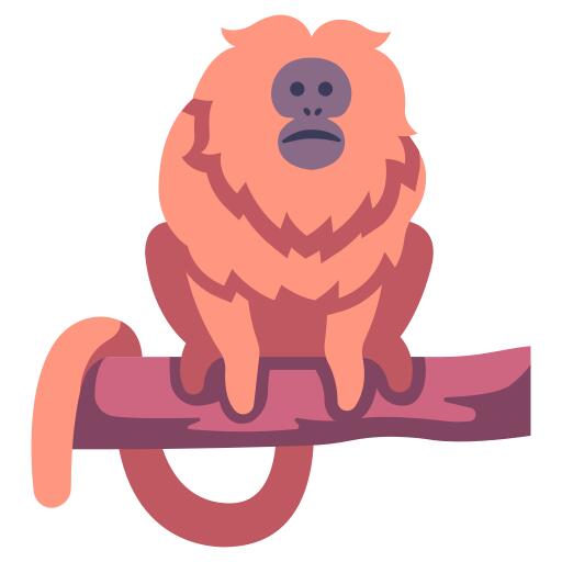 金狮猴