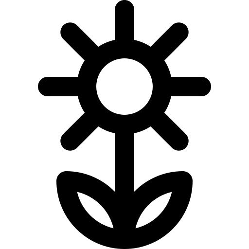 向日葵