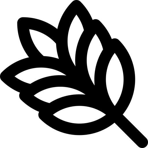 小麦