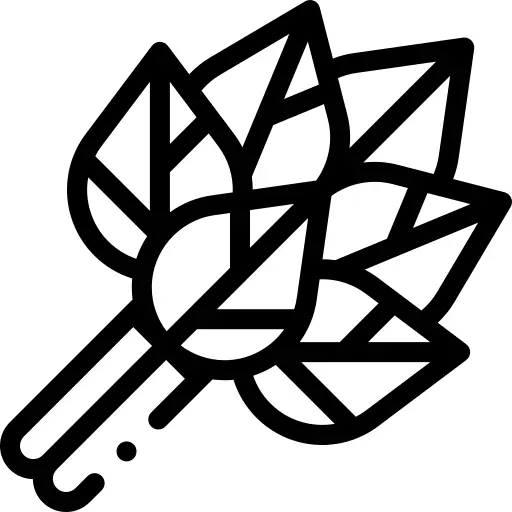 Birch whisk