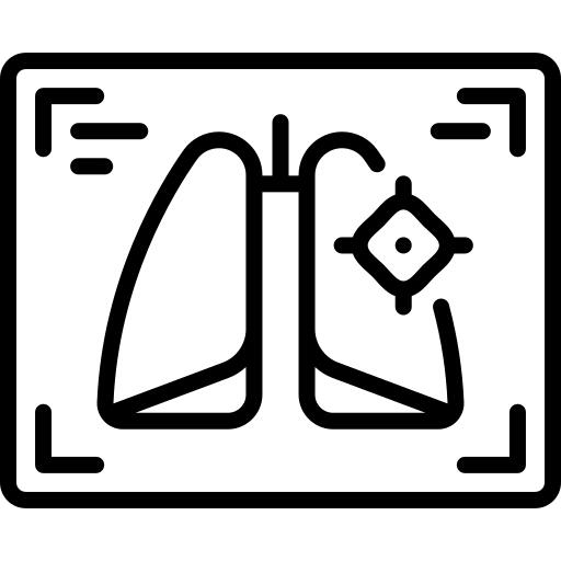 X ray
