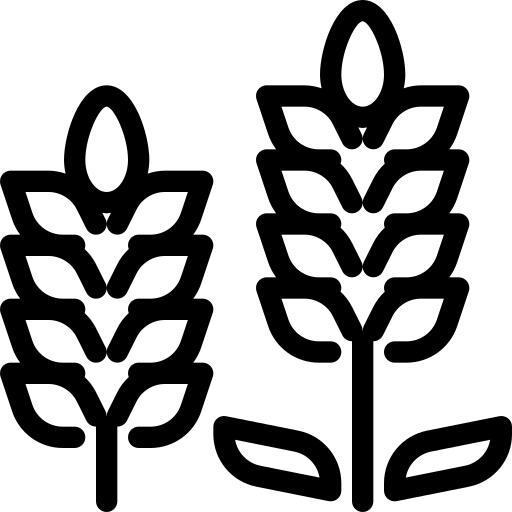 薰衣草