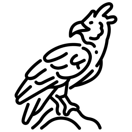 鹰身鹰