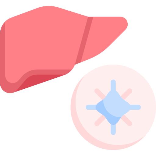 Liver