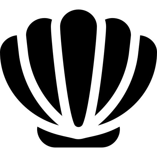 贝壳