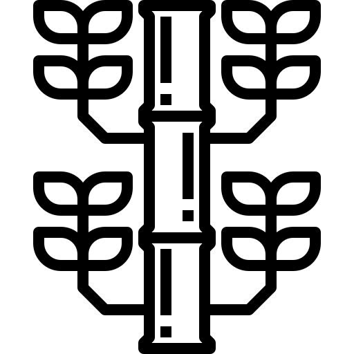 Bamboo