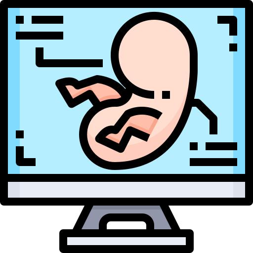 Embryo