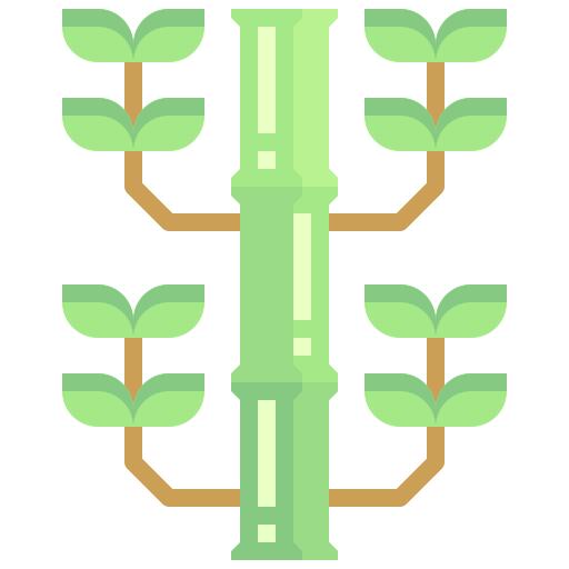 竹