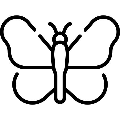 Silk butterfly