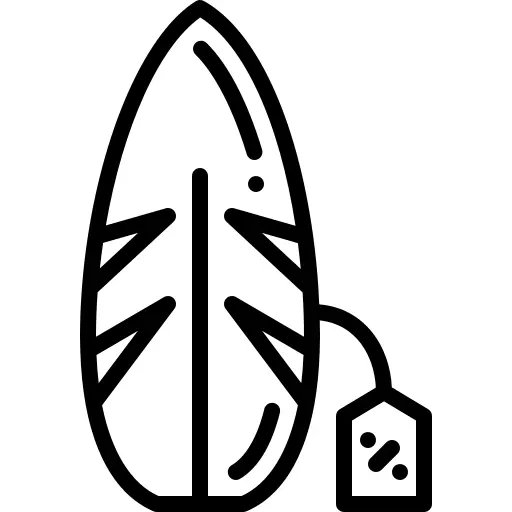 冲浪板