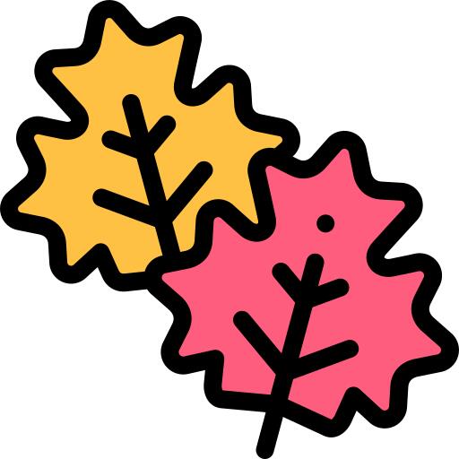 枫叶