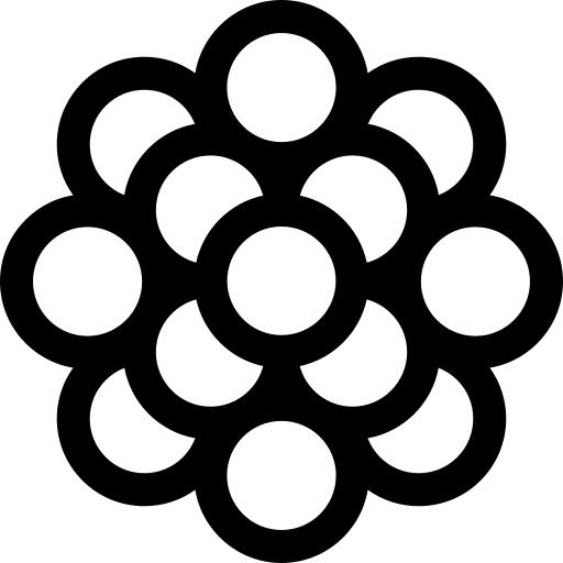分子