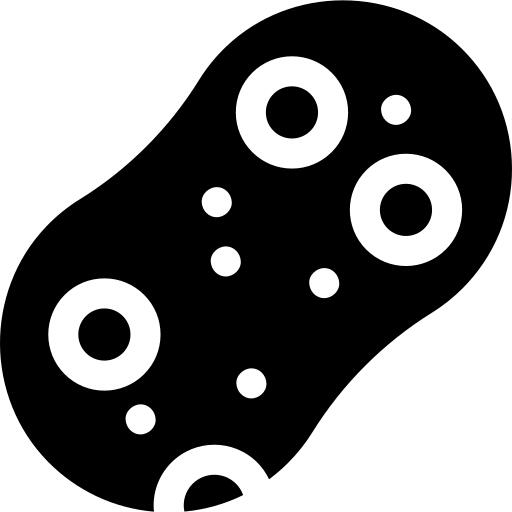 海绵