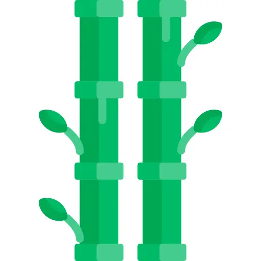 竹