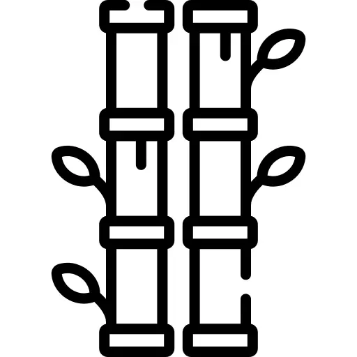 竹