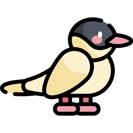 鸟