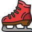 Ice skate