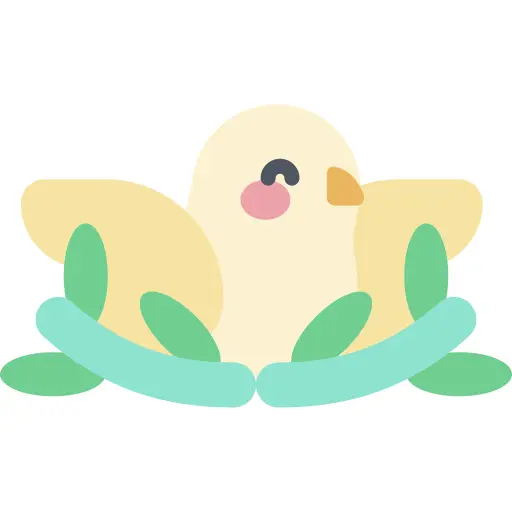 鸽子