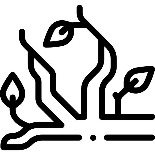 科