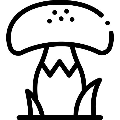 Mushroom