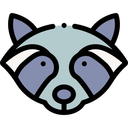 Raccoon