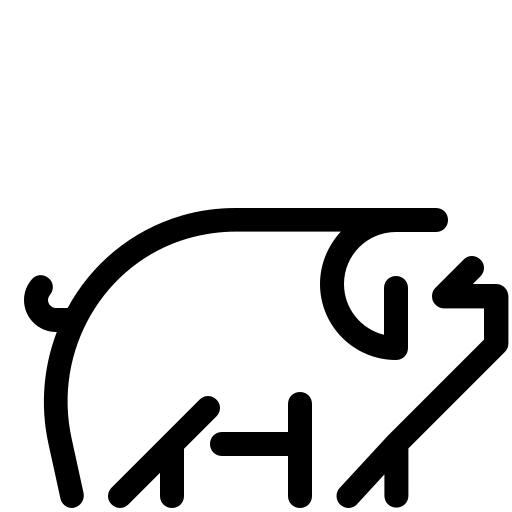 Pig