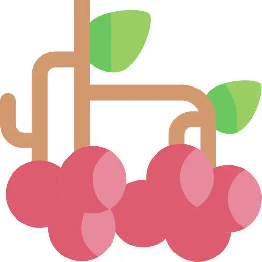 Berry
