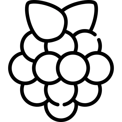 Berry