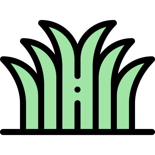 草