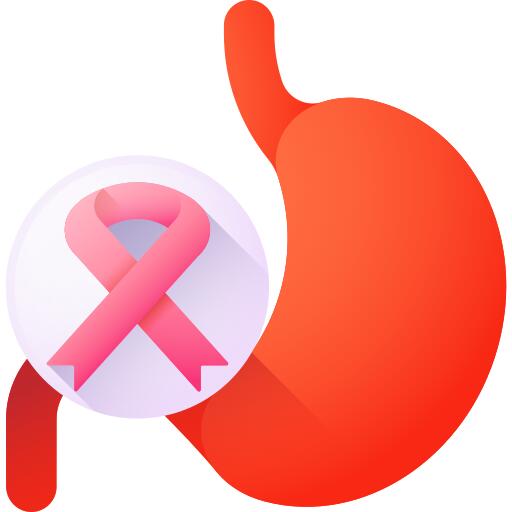 Stomach