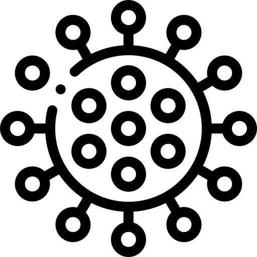 分子
