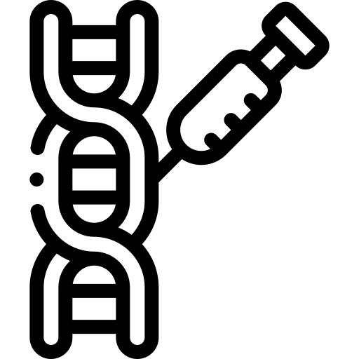 DNA结构