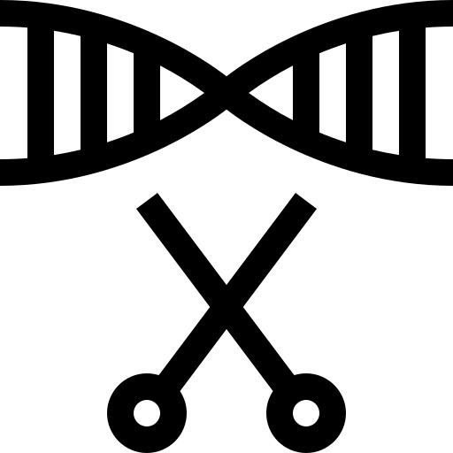 脱氧核糖核酸