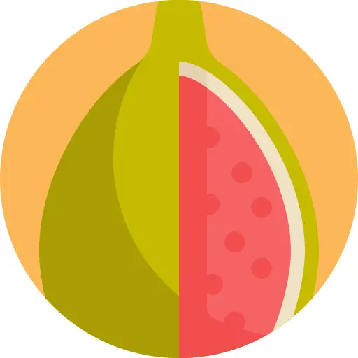 Fig