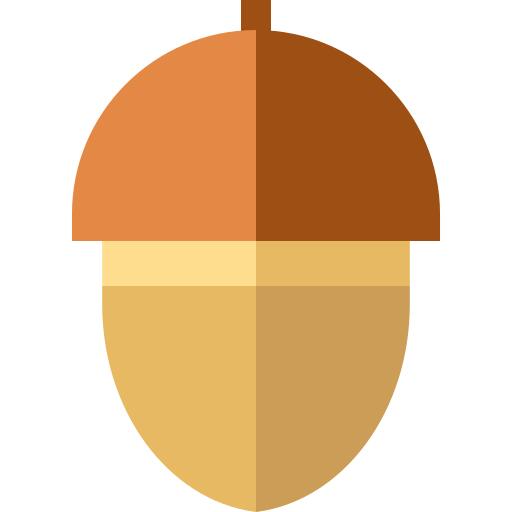 Acorn