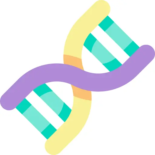Dna