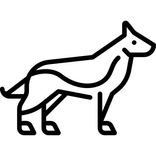 德国牧羊犬
