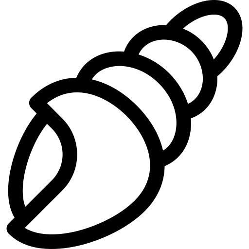 Shell