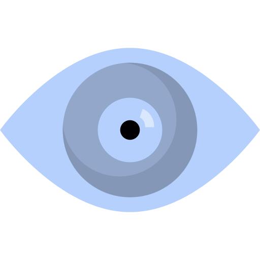 眼睛