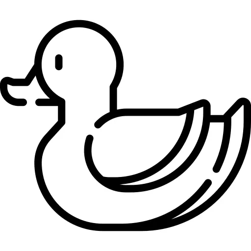 Rubber duck