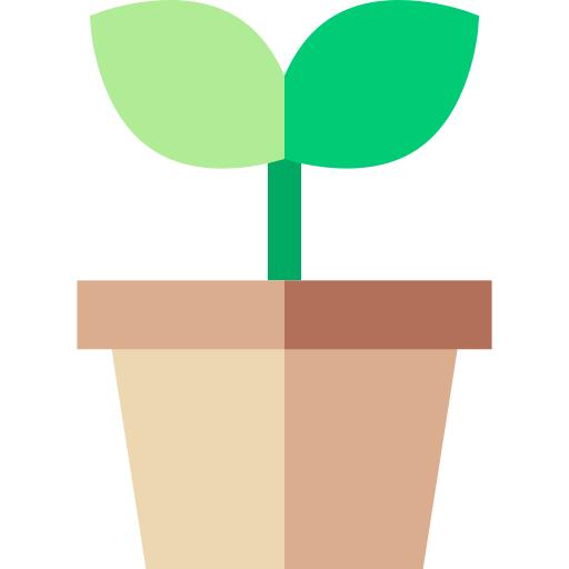 Sprout
