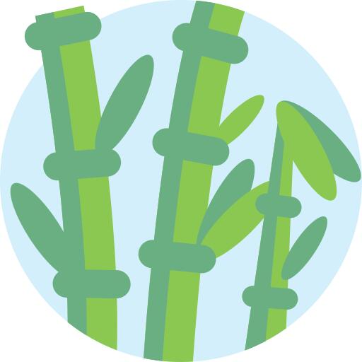 Bamboo