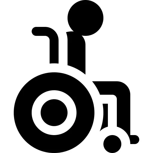 Disabilities