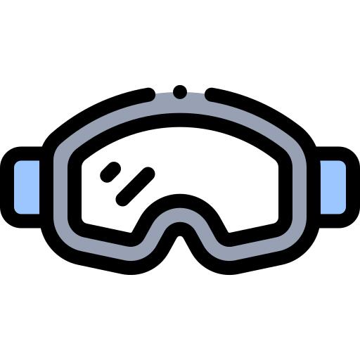 Ski goggles
